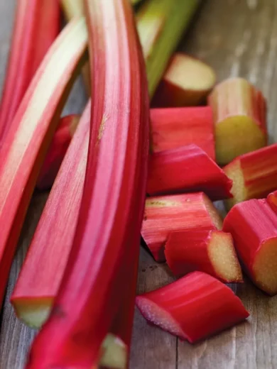 Rhubarbe Géante 'Victoria' Graines