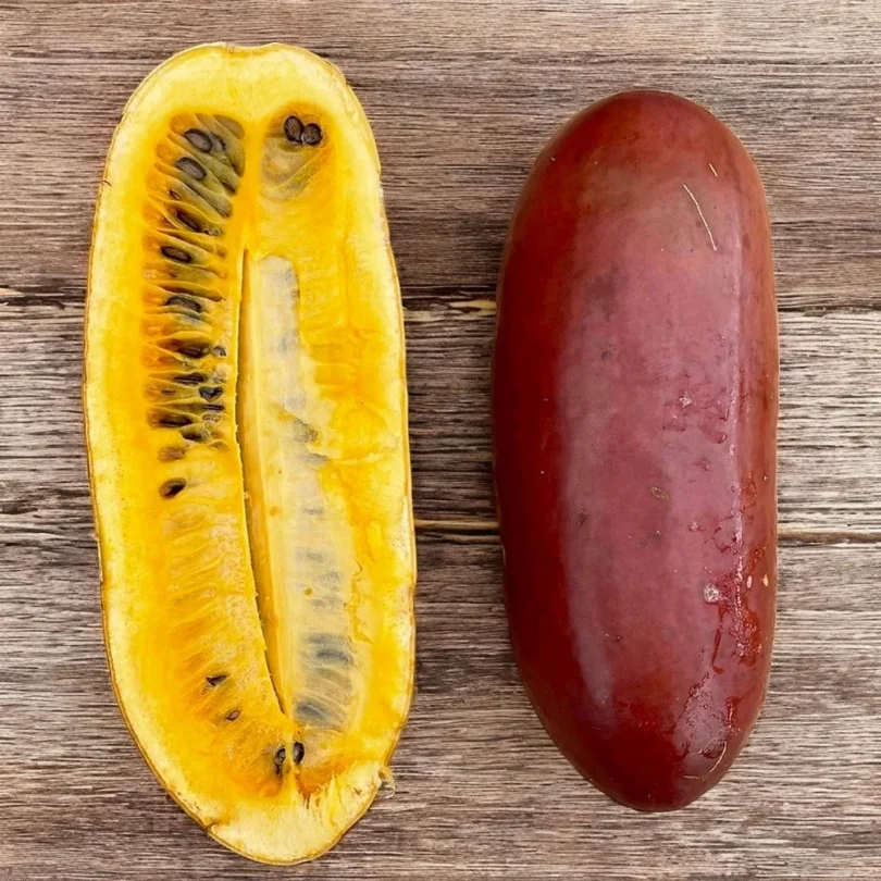 Calebasse Zombi, Melon-coton (Sicana odorifera “Cassabanana”) Graines
