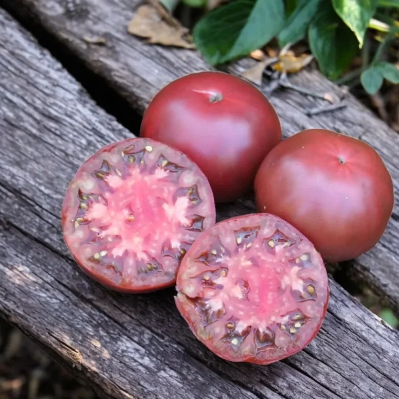 Tomate ‘Noire de Crimée’ (Variété ancienne) Graines