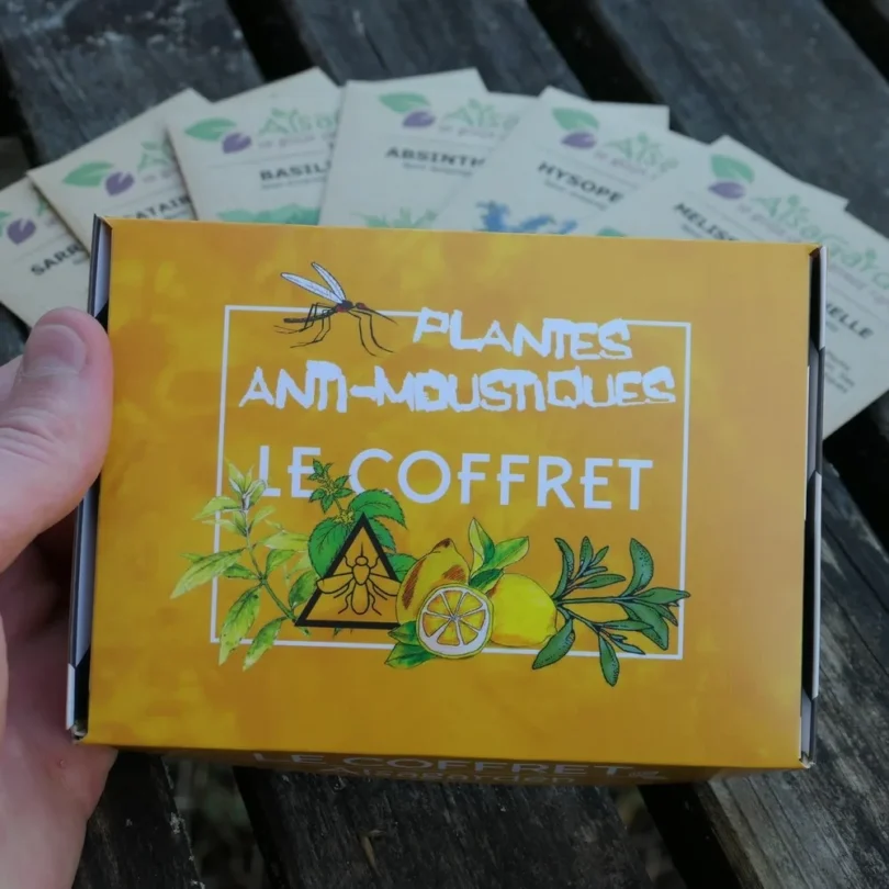 Coffret Plantes anti-moustiques (6 sachets de graines)