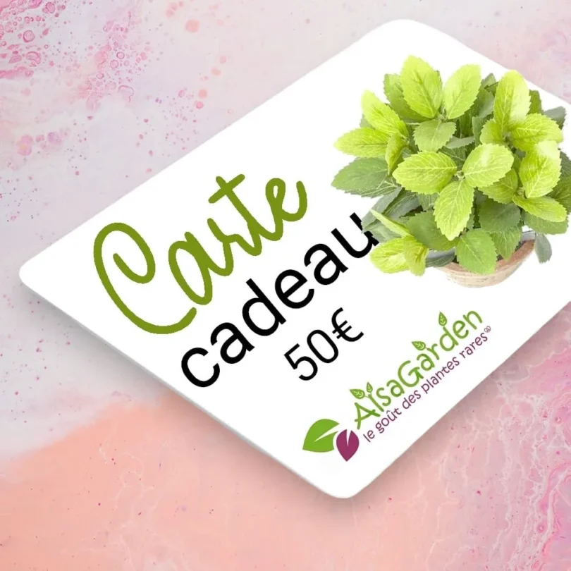 Carte Cadeau Alsagarden 50€