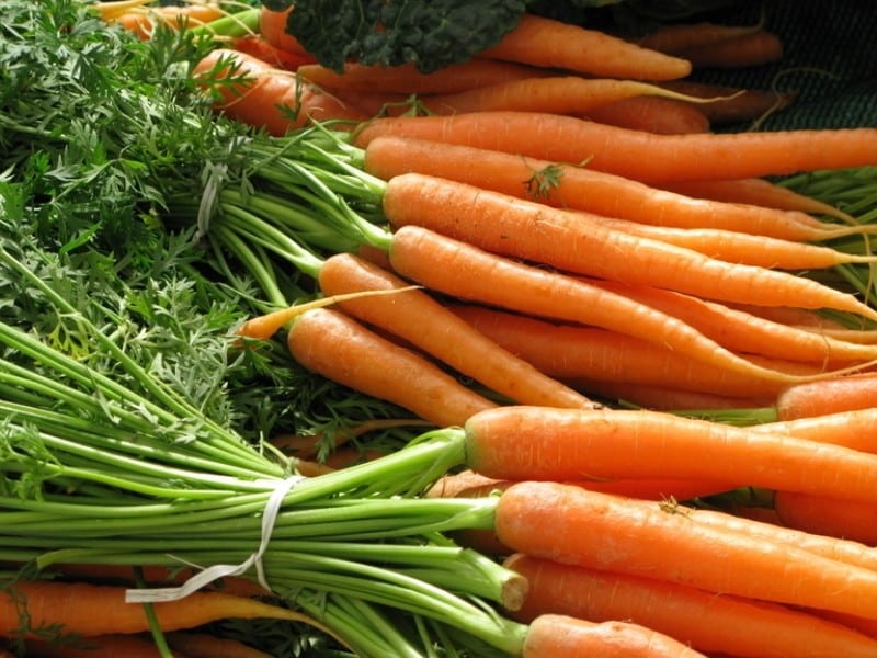 Planter les épluchures et restes de légumes pour les faire repousser ! (2)