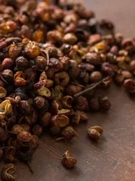 Poivrier de Sichuan (Zanthoxylum piperitum) Plant