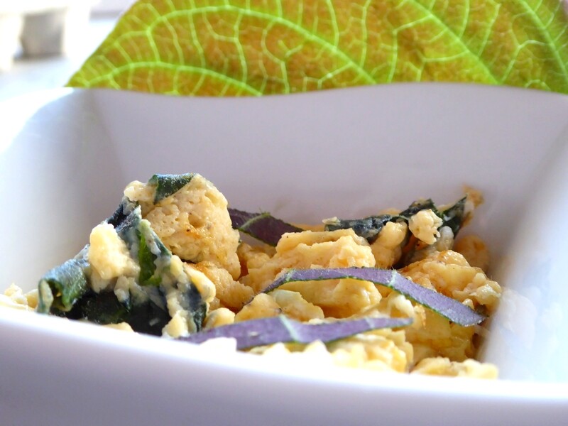 Oeufs brouillés plante fromage - Photo : alsagarden.live