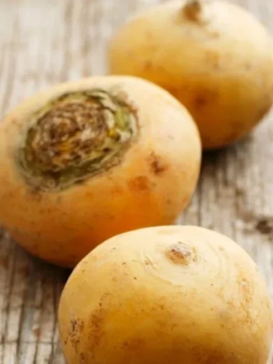 Navet Jaune 'Boule d'or' (Brassica rapa) Graines
