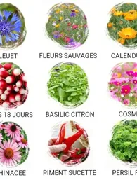 Cadeau d'invité mariage à semer (Semez notre amour)