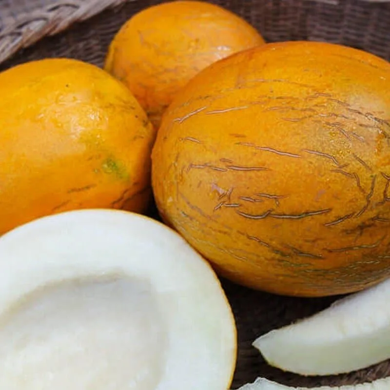 Melon Kazakh (Variété ancienne) Graines