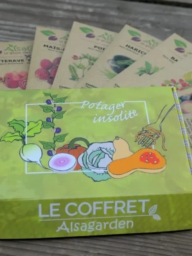 Coffret Potager Insolite (10 variétés rares et originales)