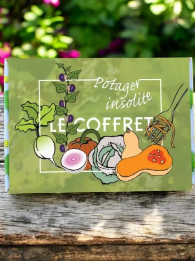 Coffret Potager Insolite (10 variétés rares et originales)