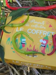 Coffret Piments de Collection (6 Variétés pour Sauces piquantes)