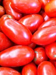 Tomate Rouge 'San Marzano' Graines