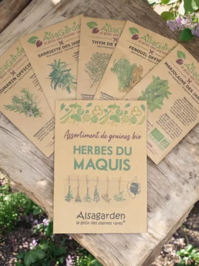Assortiment Herbes du Maquis (5 Variétés de graines BIO)