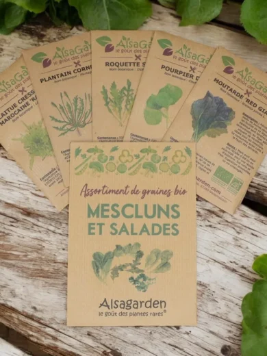 Assortiment Mescluns et salades (5 Variétés de graines BIO)