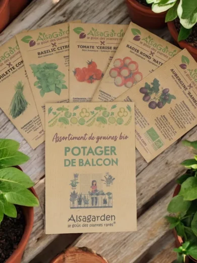 Assortiment Potager de Balcon (5 Variétés de graines BIO)