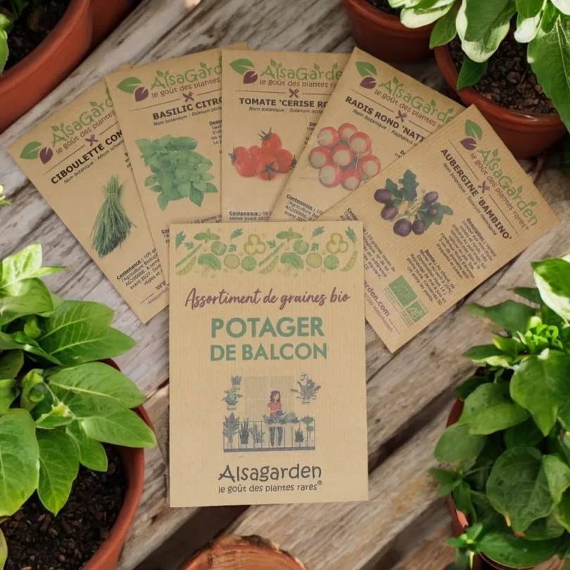 Assortiment Potager de Balcon (5 Variétés de graines BIO)