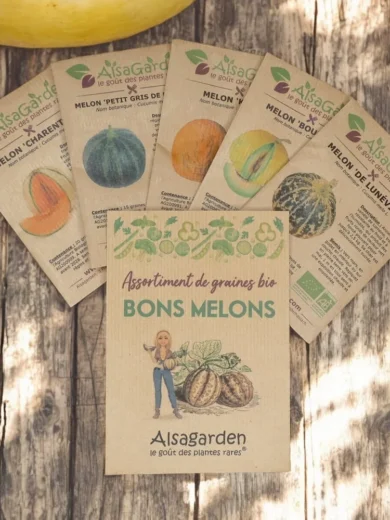 Assortiment Bons Melons (5 Variétés de graines BIO)