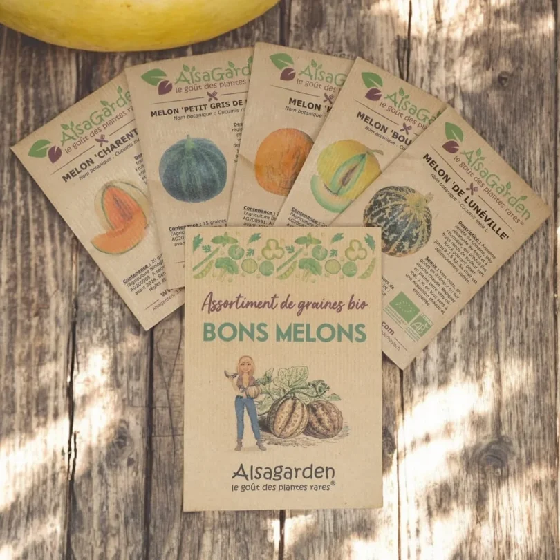 Assortiment Bons Melons (5 Variétés de graines BIO)