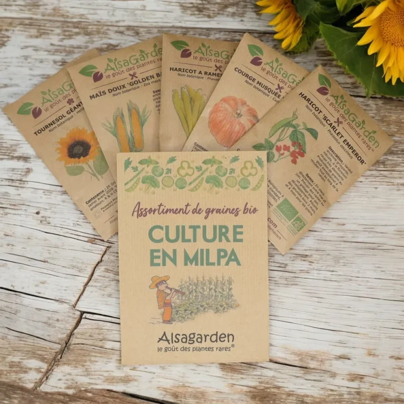 Assortiment Culture en Milpa (5 Variétés de graines BIO)
