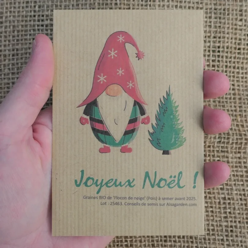 Carte de vœux à semer “Joyeux Noël” (Gnome) – Graines de ‘Flocon de Neige’