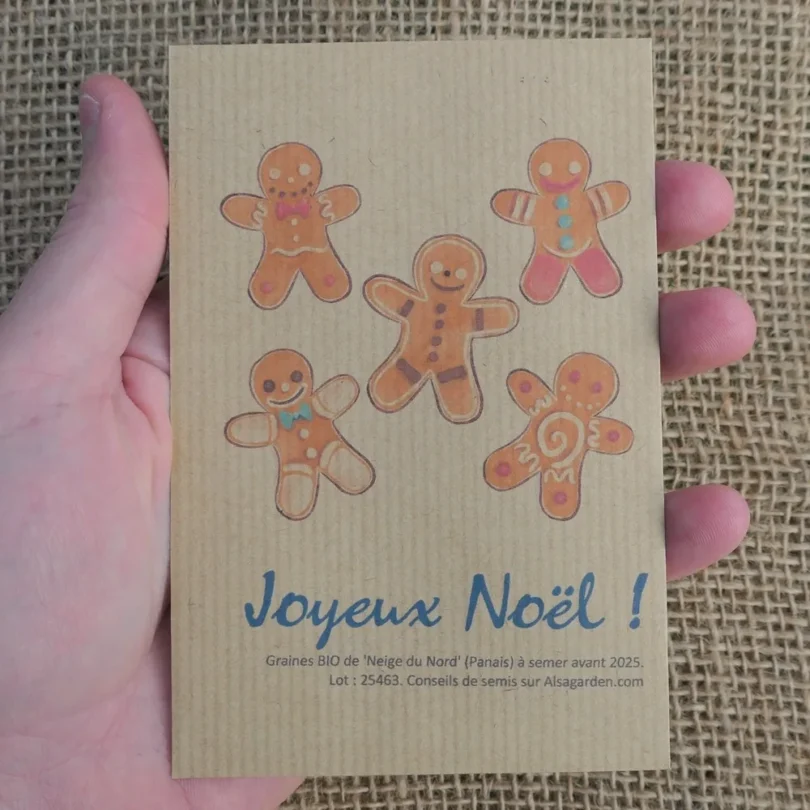 Carte de vœux à semer “Joyeux Noël” (Petits biscuits) – Graines de ‘Neige du Nord’