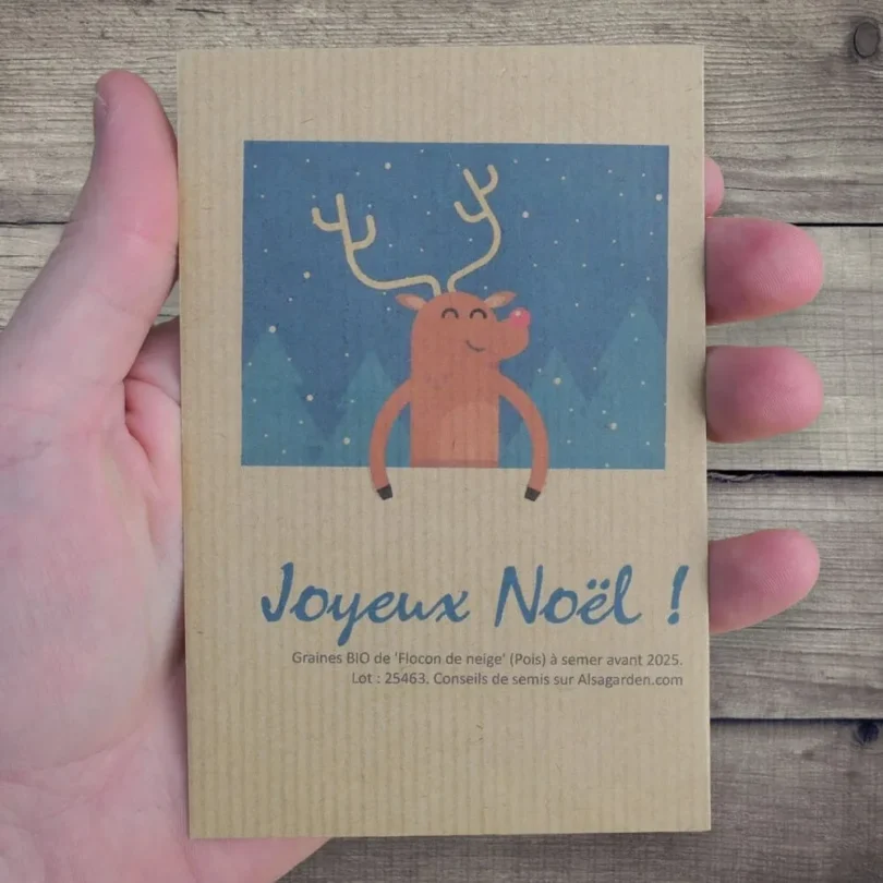 Carte de vœux à semer “Joyeux Noël” (Rudolph) – Graines de ‘Flocon de Neige’