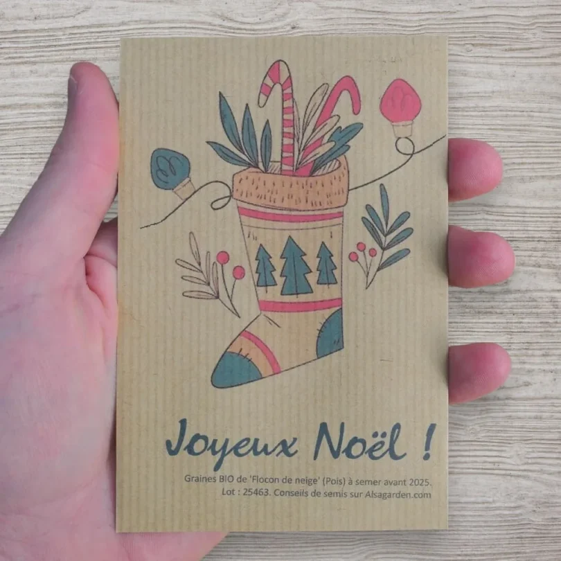 Carte de vœux à semer “Joyeux Noël” (Chaussette) – Graines de ‘Flocon de Neige’