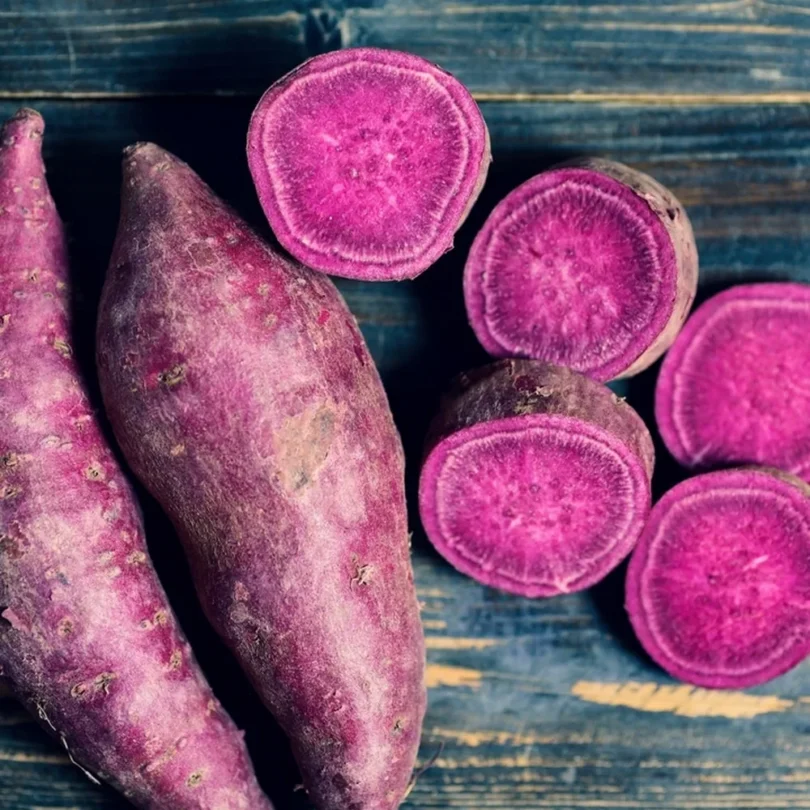 Patate douce ‘Violetta’ (Ipomoea batatas) Plant