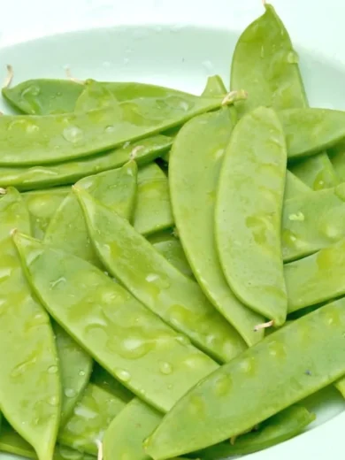 Pois mangetout 'Géant Suisse' (Variété ancienne) Graines