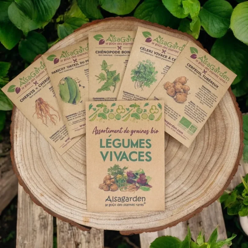 Assortiment Légumes Vivaces (5 Variétés de graines BIO)