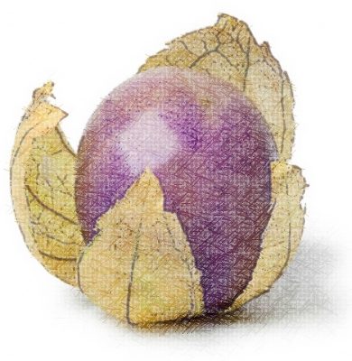 Gastronomie Américaine