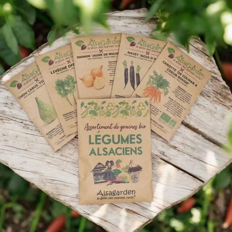 Assortiment Légumes Alsaciens (5 Variétés de graines BIO)