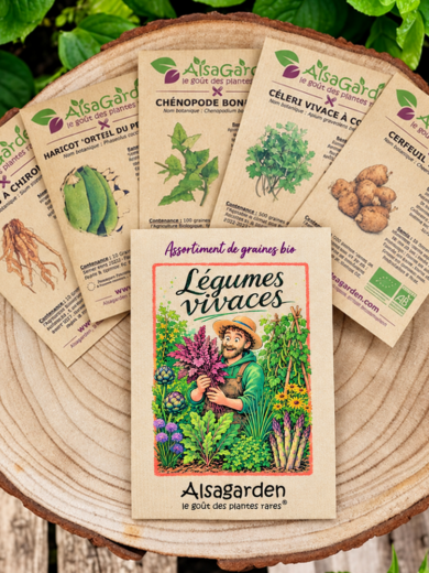 Assortiment Légumes Vivaces (5 Variétés de graines BIO)