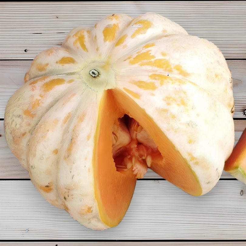 Melon ‘Délice de la table’ (Variété ancienne) Graines