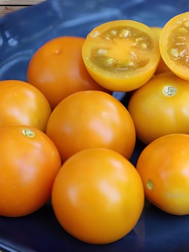 Tomate 'Abricot' (Variété ancienne) Graines