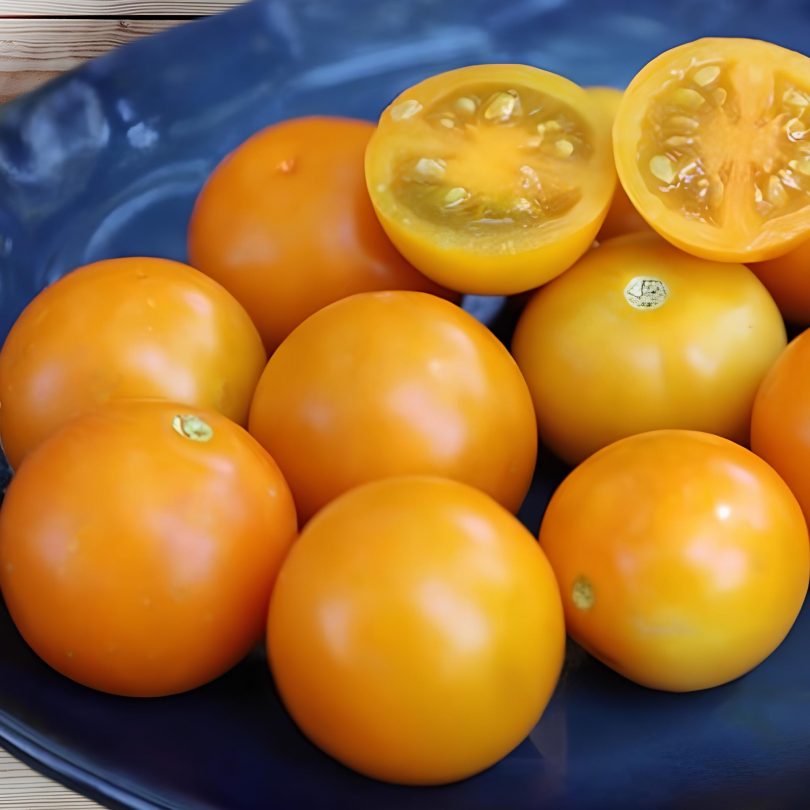 Tomate ‘Abricot’ (Variété ancienne) Graines