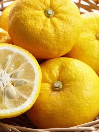 Citronnier Yuzu (Citrus junos) Graines
