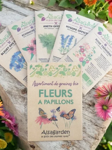 Assortiment Fleurs à Papillons (5 Variétés de graines BIO)