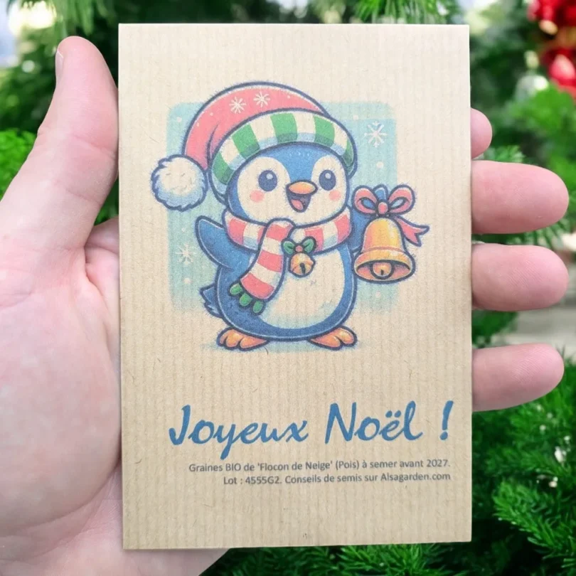 Carte de vœux à semer “Joyeux Noël” (Pingouin) – Graines de ‘Flocon de Neige’