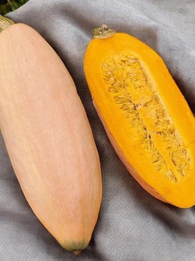 Potiron 'Pink Jumbo Banana' (Variété originale) Graines