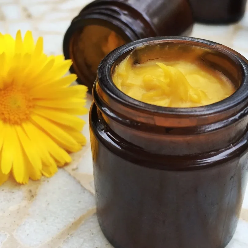 Atelier Cosmétique : Réaliser son baume naturel aux plantes (2h00)