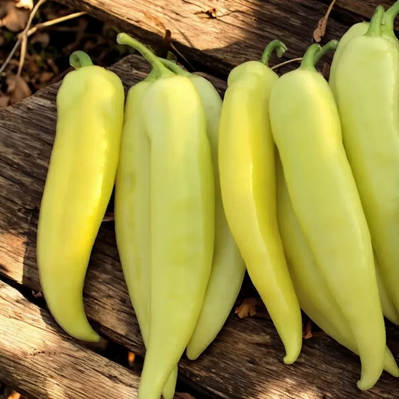 Poivron Jaune ‘Sweet Banana’ (Variété originale) Graines