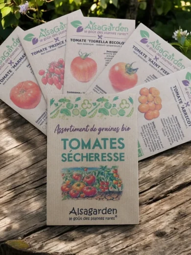 Assortiment Tomates résistantes à la Sécheresse (5 Variétés de graines BIO)
