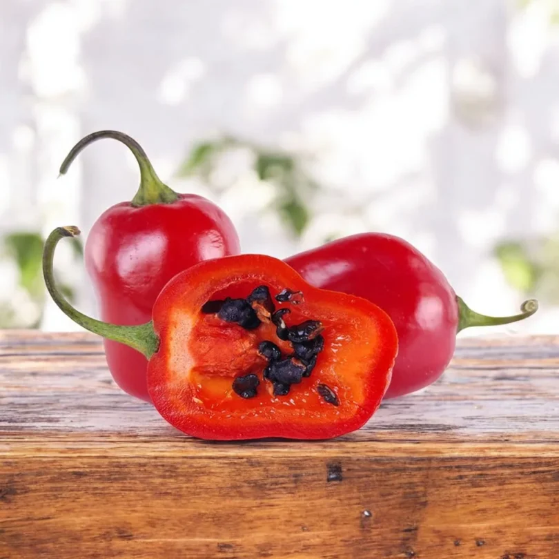 Piment Rocoto ‘Mini-Red’ (Variété rare) Graines