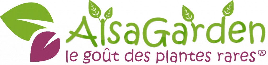 Alsagarden - Accueil