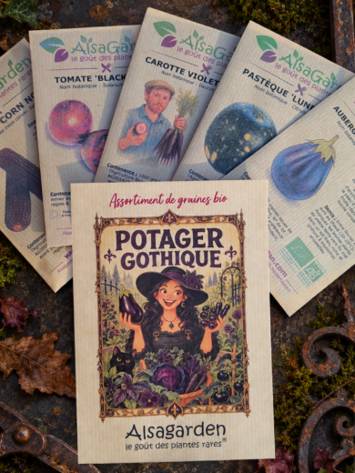 Assortiment Potager Gothique (5 Variétés de graines BIO)