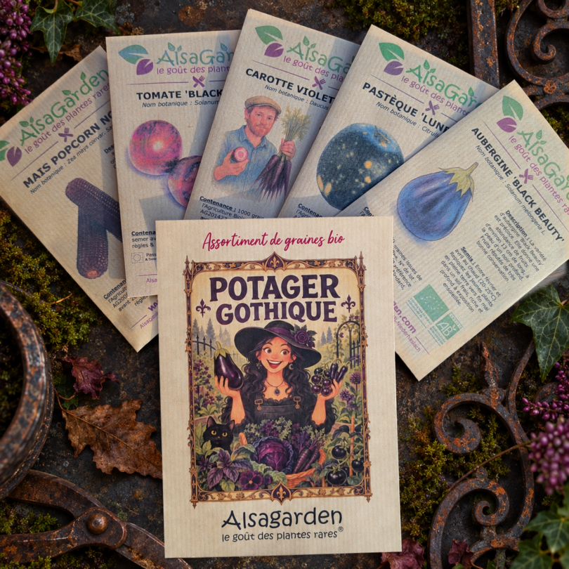 Assortiment Potager Gothique (5 Variétés de graines BIO)