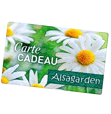 Cartes cadeaux