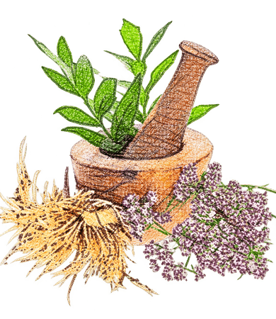 Plantes officinales